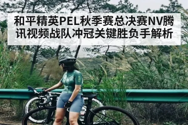 和平精英PEL秋季赛总决赛NV腾讯视频战队冲冠关键胜负手解析