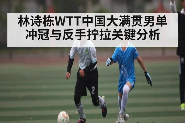 林诗栋WTT中国大满贯男单冲冠与反手拧拉关键分析
