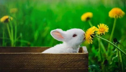 Kaiyun-《马卡》质疑梦之队评选：难道哈维是西班牙史上最佳